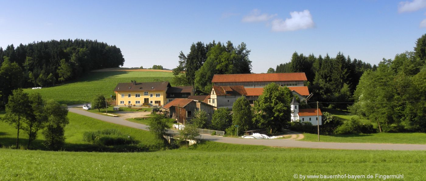 Bauernhof Fingermühl Familie Laußer