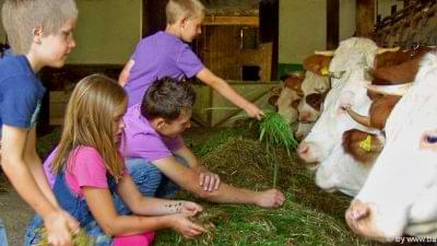 Bauernhofurlaub zum mithelfen in Bayern