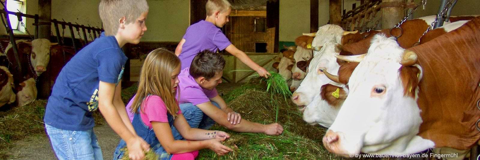 Bauernhofurlaub zum mithelfen - echter Bauernhof zum anfassen