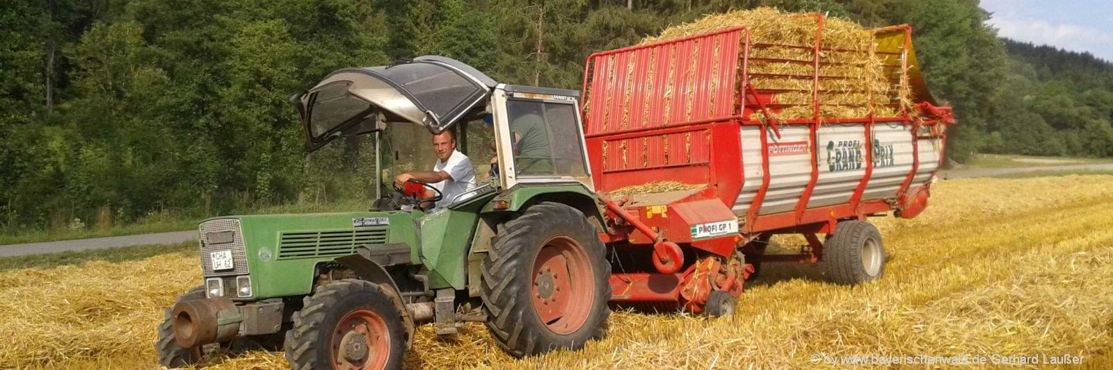 Urlaub auf dem Bauernhof mit Traktor fahren